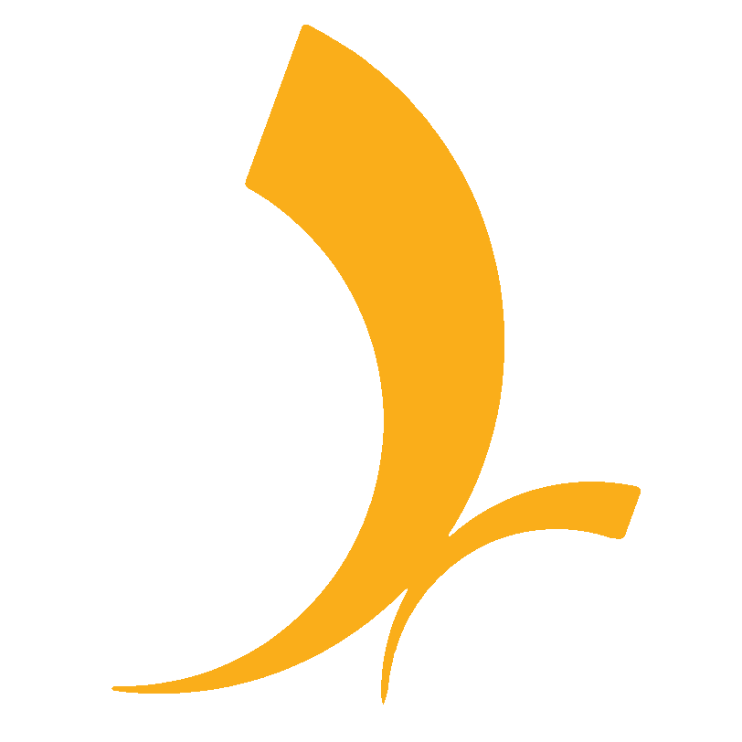 Dynamix Systems